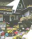 ALPINABčɉԂς̃eX